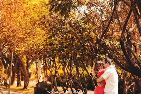 pre-wedding-casamento-holambra-santos5'