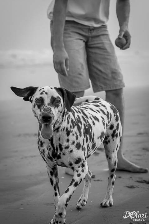 Ensaio_pre_casamento_praia_do_iporanga_guaruja_ec(29)'