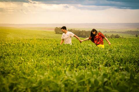 Fotografia do noivo e da noiva caminhando em uma plantação de soja em Maringá, PR'