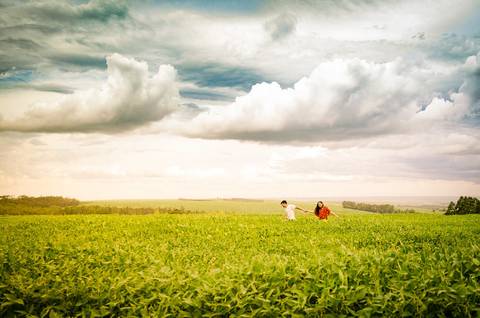 Fotografia do noivo e da noiva caminhando em uma plantação de soja em Maringá, PR'