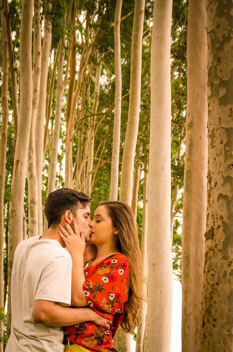 Fotografia do casal de noivos se beijando em meio a uma plantação de eucaliptos em Maringa, PR'