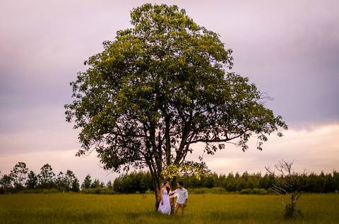 Fotografia do casal de noivos no ensaio pre casamento sob uma árvore frondosa com um gramado e céu parcialmente nublado. Eles estão ao fundo e se abraçando. Estão em Maringá, PR'