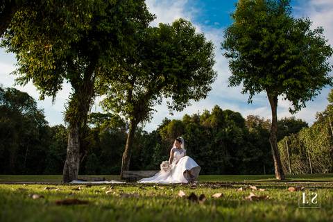 noiva-em-campo-com-arvores'