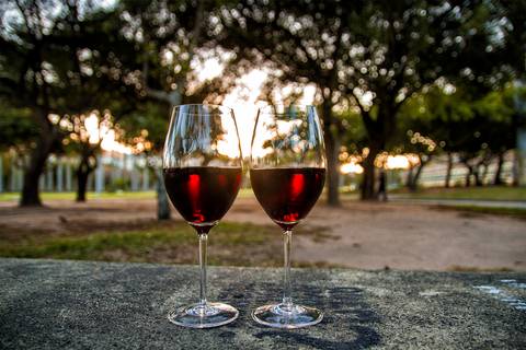 Vinho naturelle fotos de vinho '