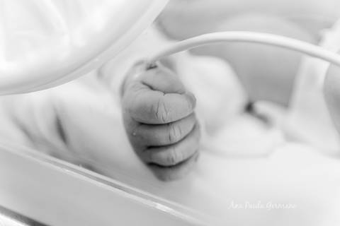 Fotógrafo Credenciado Hospital Israelita Albert Einstein | 24'