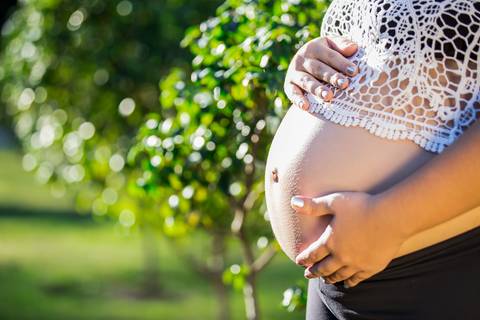 Fotografia de Gestante no Parque Botânico da Vale em Vitória feita pelo Estúdio JAMC'
