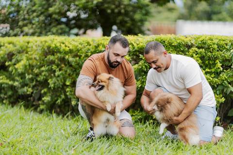 ensaio pré-wedding, João Paulo e Gilberto, casamento homoafetivo, fotos de casal, ensaio em Patrocínio-MG, amor e cumplicidade, fotografia romântica, pré-casamento, ensaio ao ar livre, cenário natural, fotos autênticas, conexão e emoção, ensaio LGBTQIA+, '
