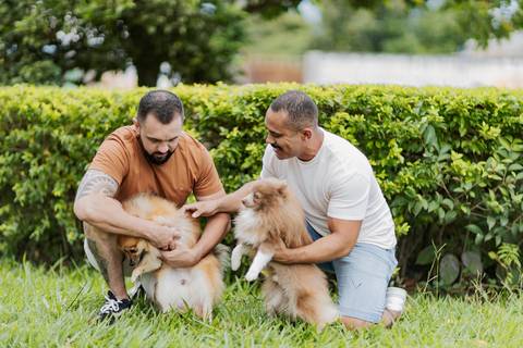 ensaio pré-wedding, João Paulo e Gilberto, casamento homoafetivo, fotos de casal, ensaio em Patrocínio-MG, amor e cumplicidade, fotografia romântica, pré-casamento, ensaio ao ar livre, cenário natural, fotos autênticas, conexão e emoção, ensaio LGBTQIA+, '