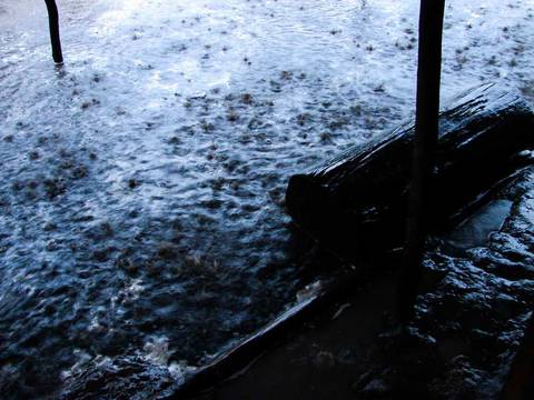 Caminhada da Colheita - MA'