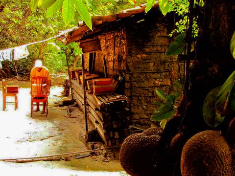 Caminhada da Colheita - MA'