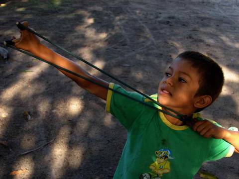 Caminhada da Colheita - MA'