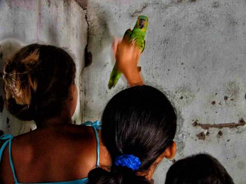 Caminhada da Colheita - MA'