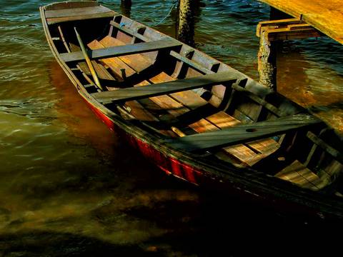 Caminhada da Colheita - MA'