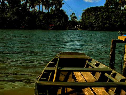 Caminhada da Colheita - MA'