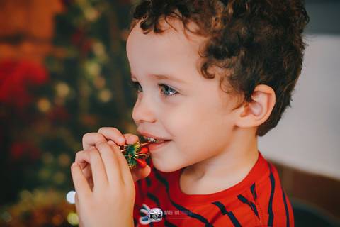 ensaio de natal, sessão de natal, fotos de natal, ensaio fotográfico de natal, natal 2019, fotógrafa de família, onde fazer fotos de natal, fotos de natal zona leste, daniele vidal fotografia, infantil, lembrança de natal, decoração de natal com fotos'