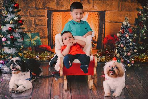 ensaio de natal, sessão de natal, fotos de natal, ensaio fotográfico de natal, natal 2019, fotógrafa de família, onde fazer fotos de natal, fotos de natal zona leste, daniele vidal fotografia, infantil, lembrança de natal, decoração de natal com fotos'