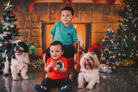 ensaio de natal, sessão de natal, fotos de natal, ensaio fotográfico de natal, natal 2019, fotógrafa de família, onde fazer fotos de natal, fotos de natal zona leste, daniele vidal fotografia, infantil, lembrança de natal, decoração de natal com fotos'