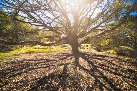 Ensaio Pré Wedding em Aiuruoca MG com Meire e Rick'