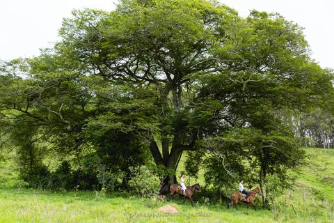 Pré Wedding em Pinhalzinho em meio a natureza com Mario Nakase Fotografia'