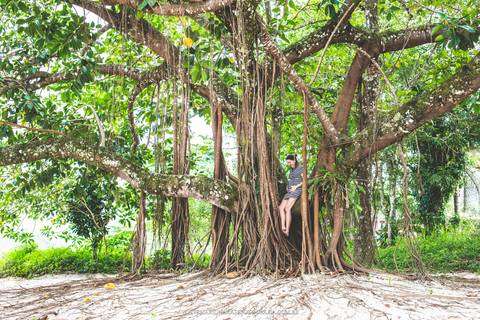 Ensaio de gestante na praia por Mario Nakase Fotografia'