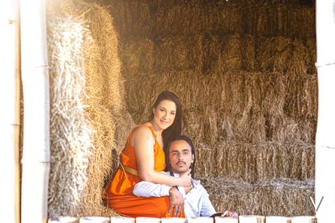 Ensaio de Pré Casamento em Holambra SP, Fotografia por Mario Nakase Fotografia'