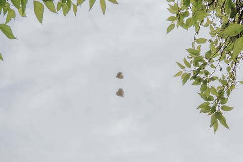 fotos cerimonia casamento monarca casarão belo horizonte'