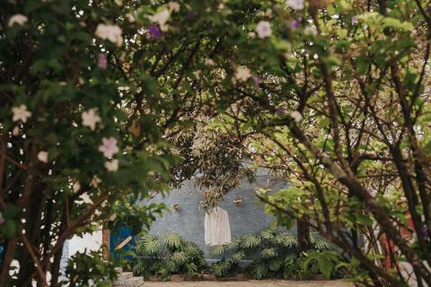 fotos making of noivo monarca casarão'