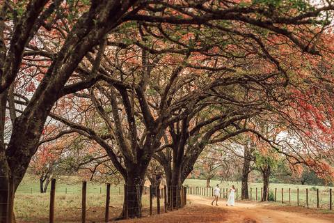 FOTOS ENSAIO PRE CASAMENTO'