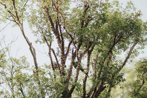 FOTOS CASAMENTO DE DIA LANAI EVENTOS BELO HORIZONTE'