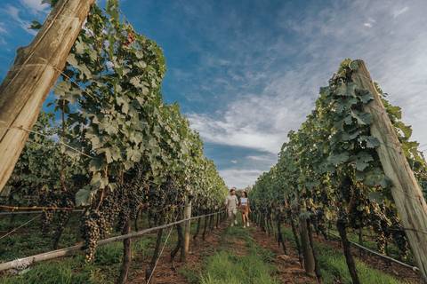 ENSAIO PRE WEDDING PEDIDO CASAMENTO GRAMADO RS - LUCAS HENRIQUE FOTOGRAFIA BELO HORIZONTE'