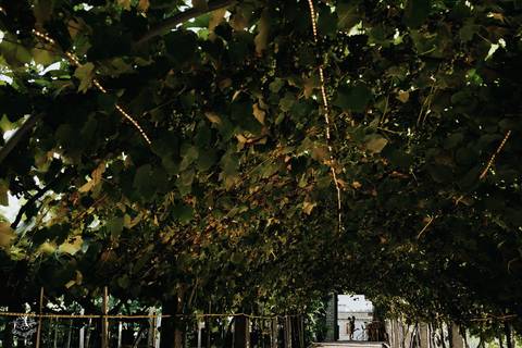 ENSAIO PRÉ WEDDING VINICULA VALDUGO BENTO GONÇALVES - LUCAS HENRIQUE FOTOGRAFIA BELO HORIZONTE'