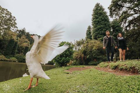 FOTOS ENSAIO PRE WEDDING LAGO NEGRO GRAMADO RS - LUCAS HENRIQUE FOTOGRAFIA BELO HORIZONTE'