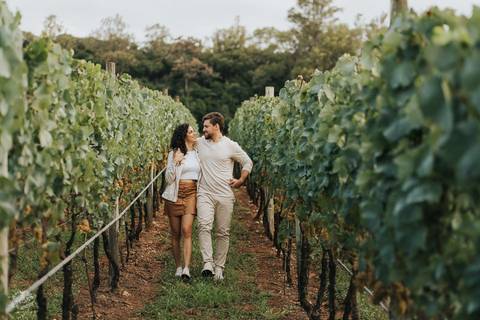 ENSAIO PRÉ WEDDING PARREIRAS BENTO GONÇALVES - LUCAS HENRIQUE FOTOGRAFIA BELO HORIZONTE'