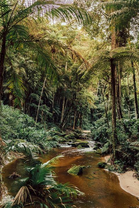 FOTOS PRE WEDDING CACHOEIRA POUSADA NATUREZA ECOLODGE ES'