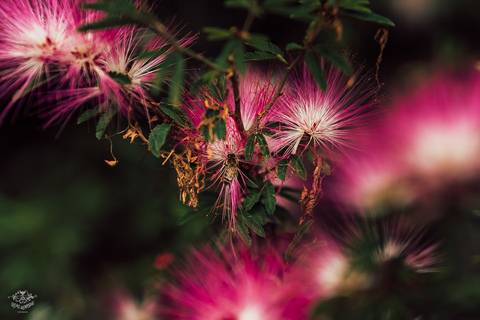 VESTIDO NOIVA NINA GABRIELA'