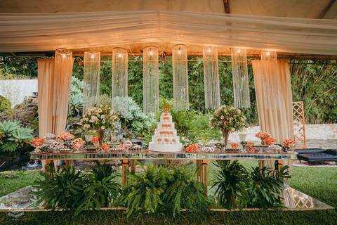 FOTOS FESTA CASAMENTO LEANDRO FERREIRA MG '