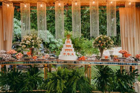 FOTOS FESTA CASAMENTO LEANDRO FERREIRA MG '