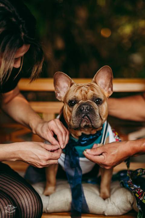 FOTOS MAKING OF NOIVO ESPAÇO HELEN AGUIAR PAMPULHA'