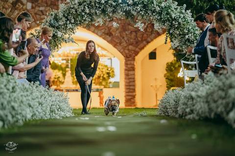 ENTRADA DAS ALIANÇAS BULLDOG FRANCES '