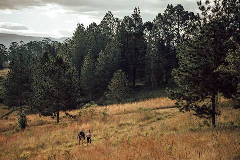 FOTOS ENSAIO PRE WEDDING MATO '