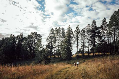 FOTOS ENSAIO PRE WEDDING MATO '