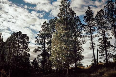 FOTOS ENSAIO PRE WEDDING MATO '