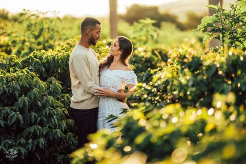 FOTOS PRE WEDDING PLANTAÇÃO CAFE '