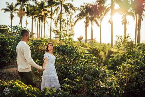 FOTOS PRE WEDDING PLANTAÇÃO CAFE '
