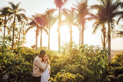 FOTOS PRE WEDDING PLANTAÇÃO CAFE '