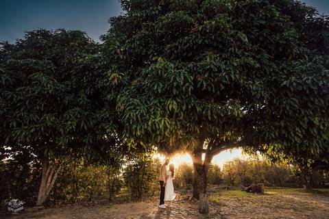 FOTOS PRE WEDDING CAMPO CAFE'