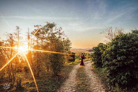 FOTOS PRE WEDDING CAMPO CAFE'