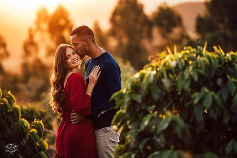 FOTOS PRE WEDDING CAMPO POR DO SOL PLANTAÇÃO  CAFE'