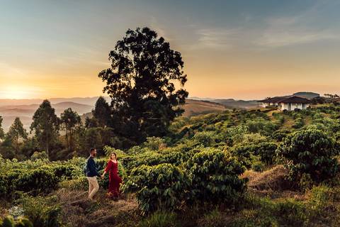 FOTOS PRE WEDDING CAMPO POR DO SOL PLANTAÇÃO  CAFE'