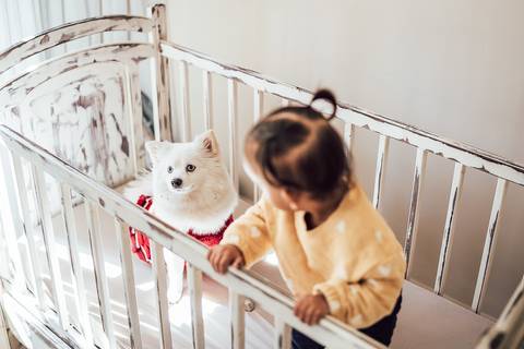 ENSAIO INFANTIL NO BERÇO COM LULU DA POMERANIA '